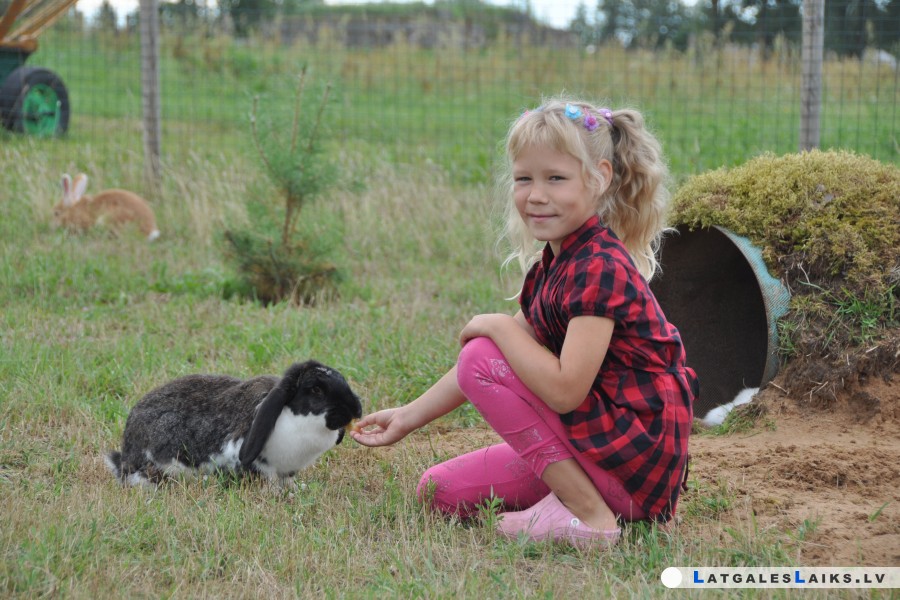 Dziedināties „Vidzemnieku” zoodārzā