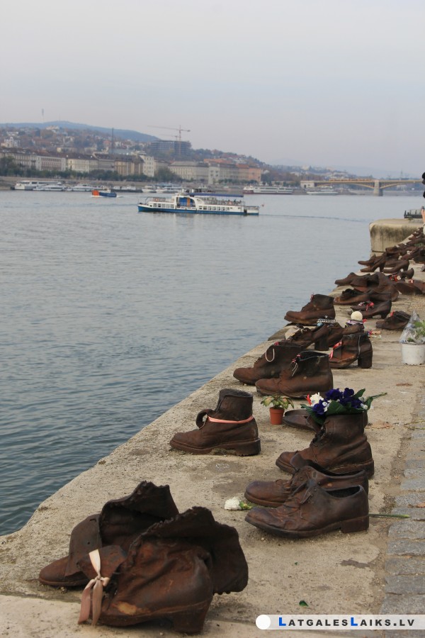 photo.jpg