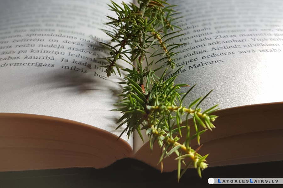 Bibliotēka aicina uz dzejnieka Anatolija Harina jubilejas vakaru