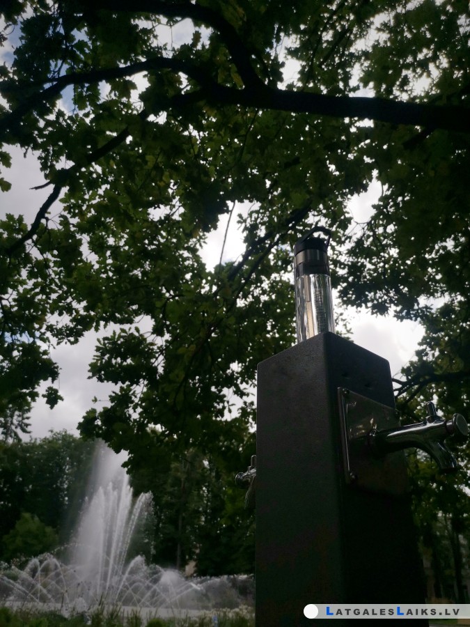 photo.jpeg