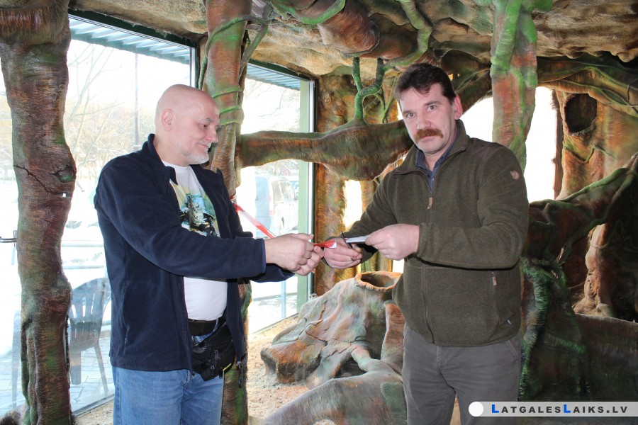 Latgales zoodārzā apmetušies surikati