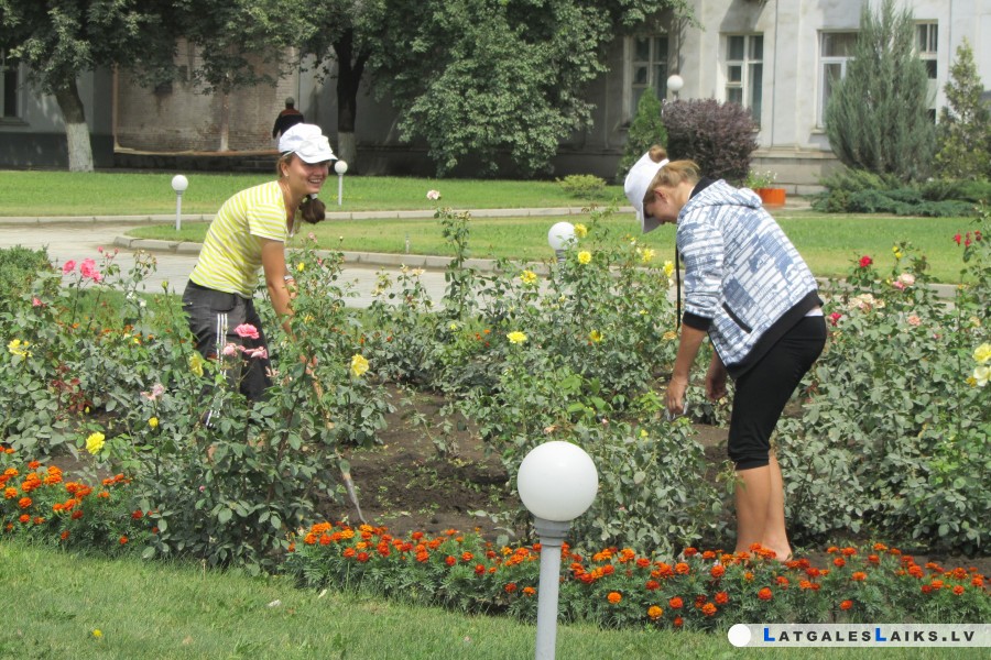 Vasara – laiks atpūtai un darbam