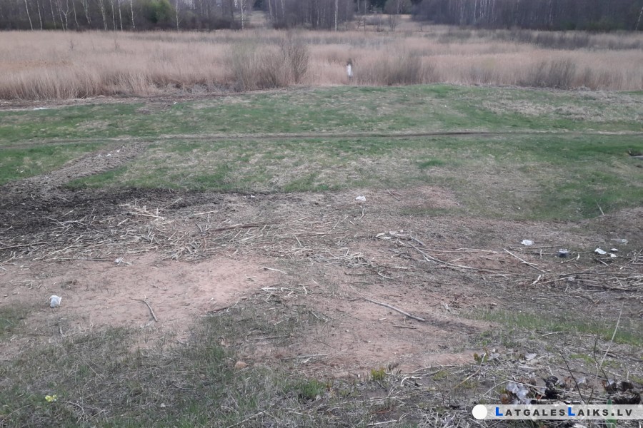 photo.jpeg