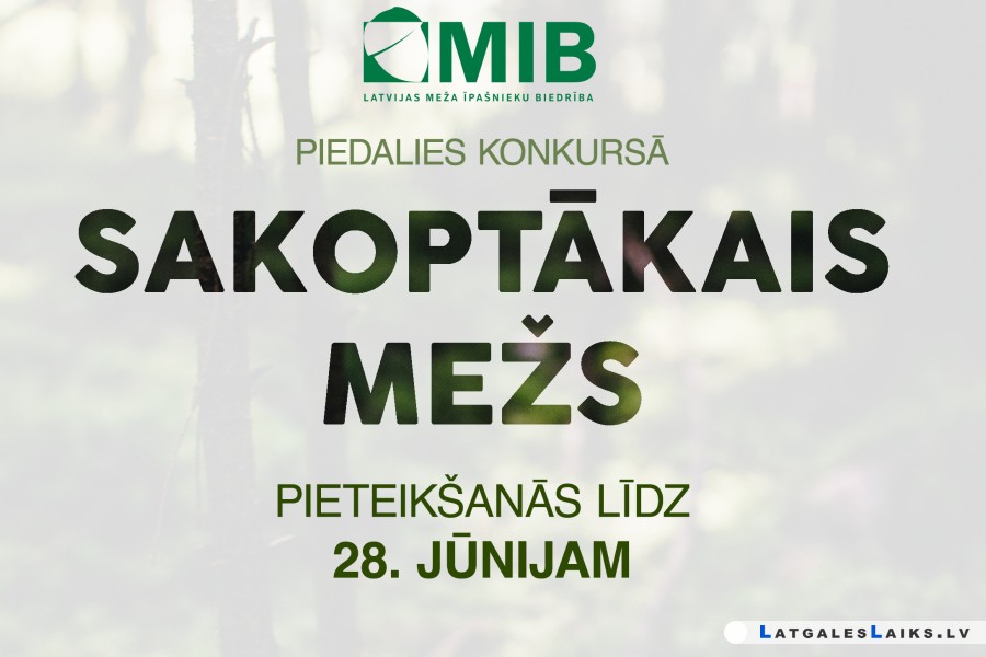 Meža īpašnieki aicināti pieteikties konkursam “Sakoptākais mežs 2019”