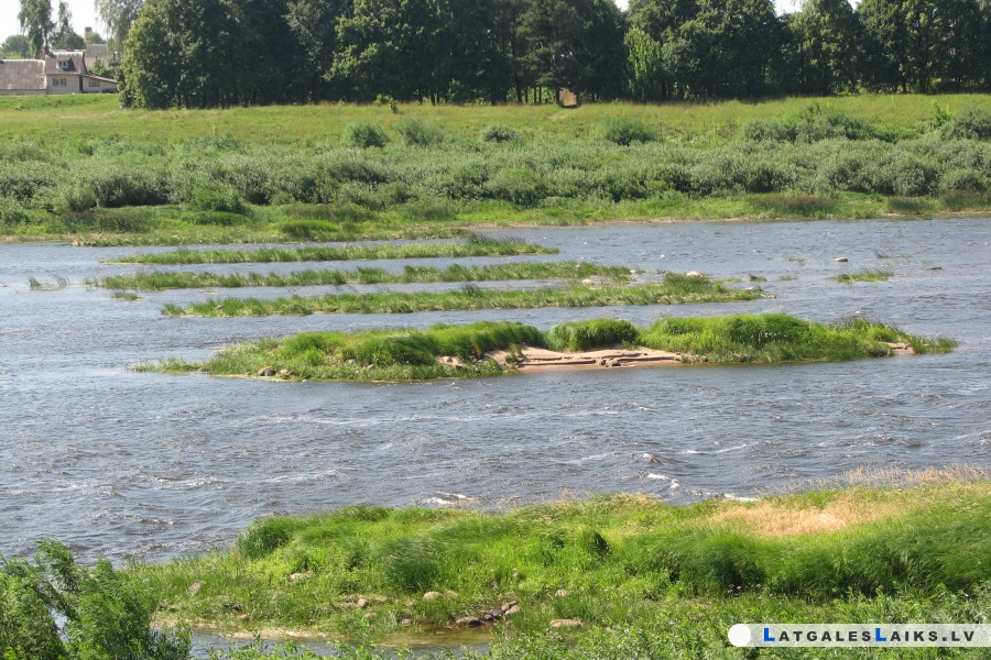 Daugava draud pārvērsties purvā