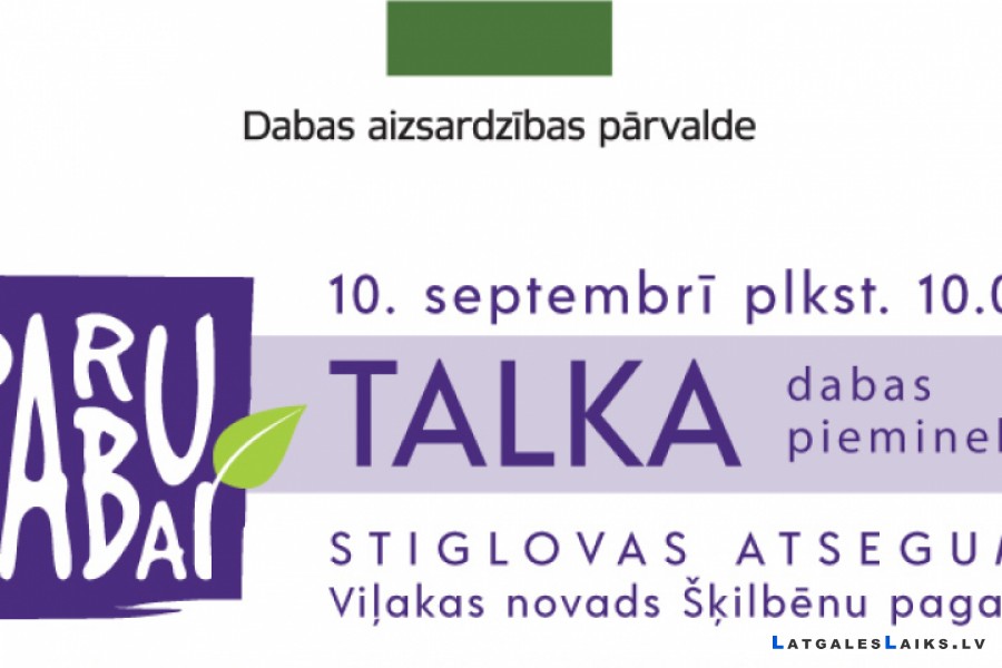 “Daru labu dabai” iniciatīvā no kritušiem kokiem attīrīs Stiglovas upi Viļakas novadā
