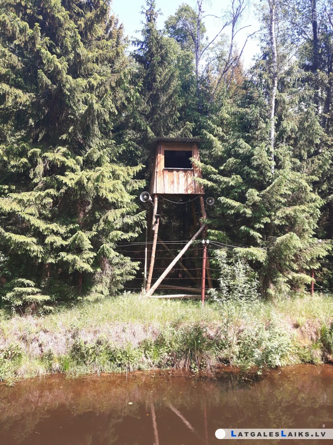 photo.jpg