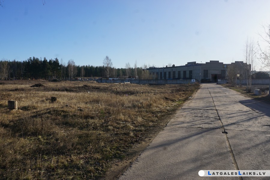photo.jpg