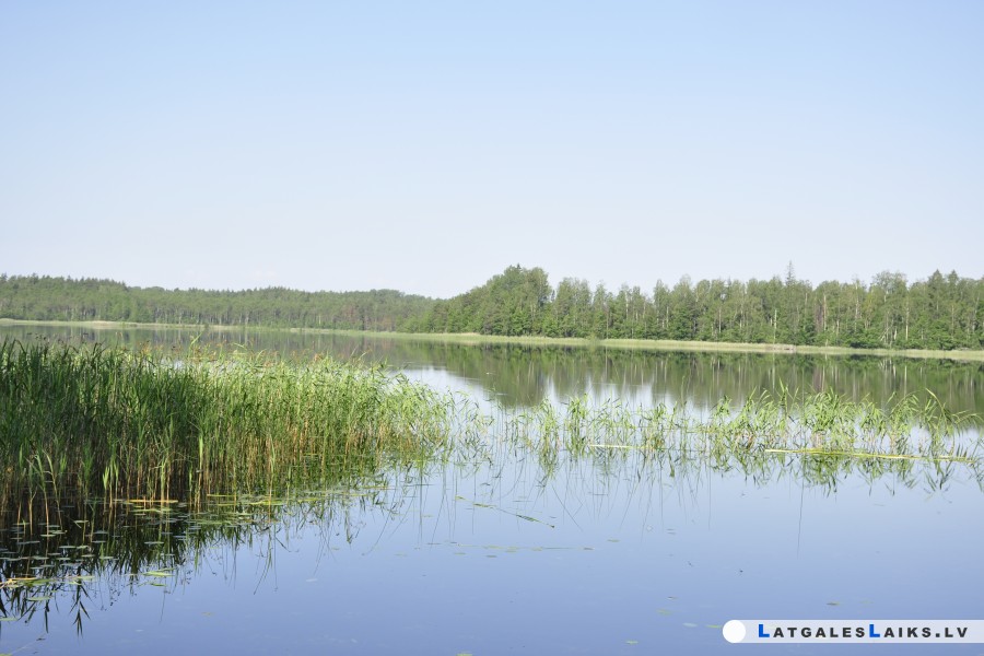 photo.jpg