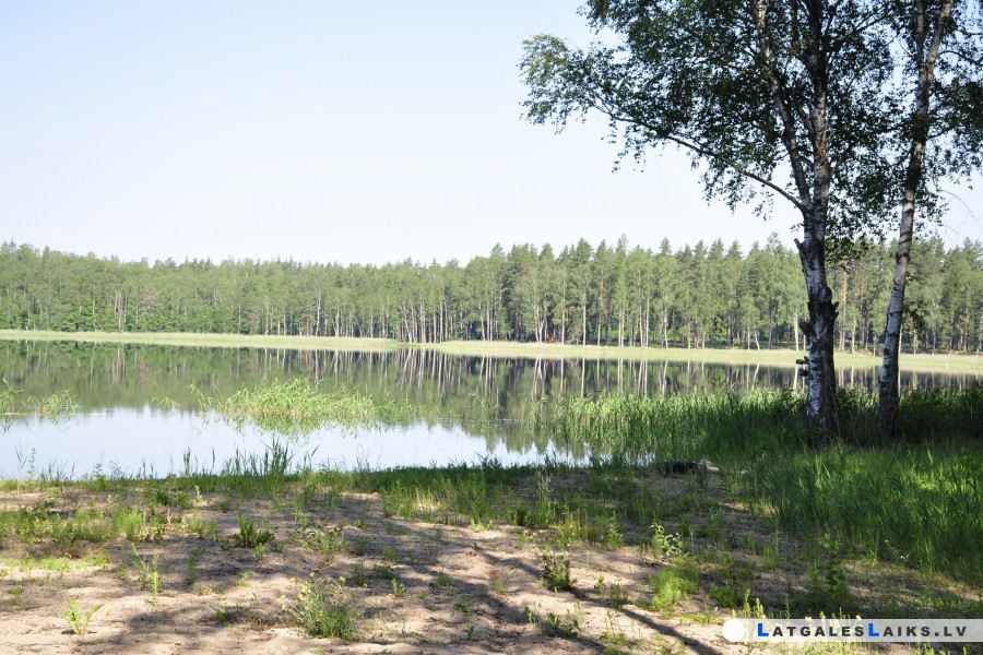 photo.jpg