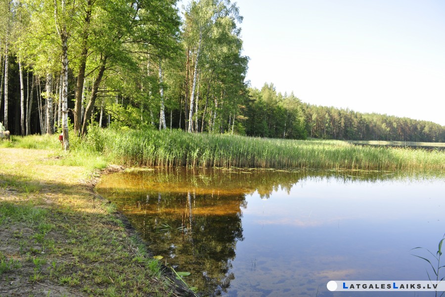 photo.jpg
