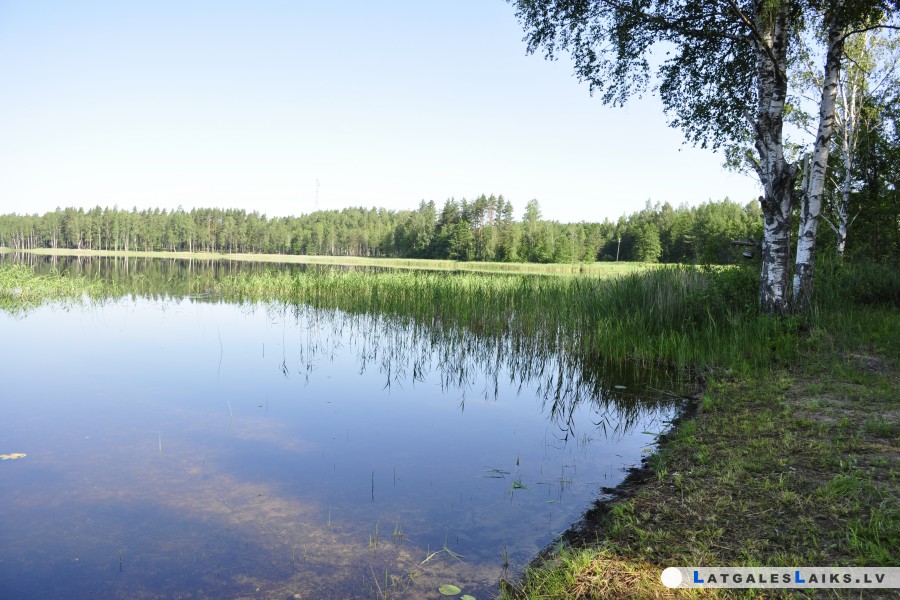 photo.jpg