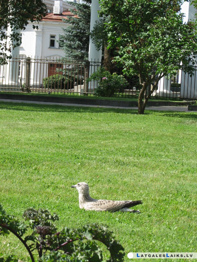 photo.jpg