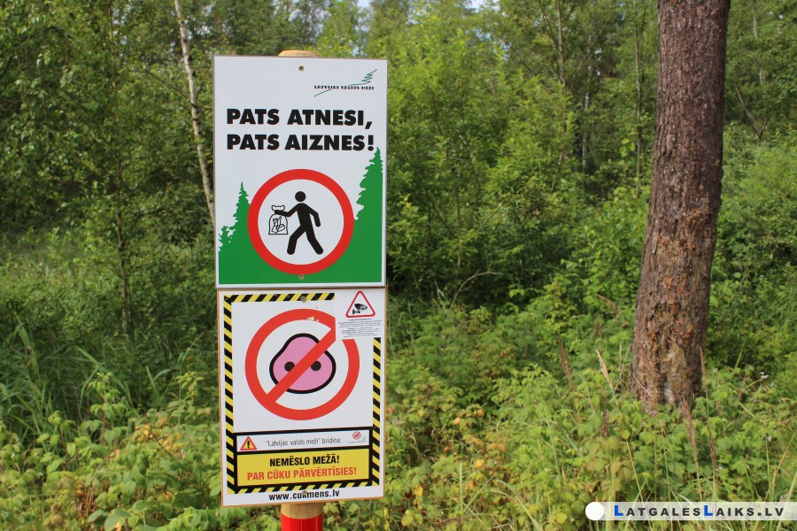 photo.jpg
