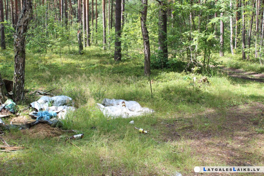 photo.jpg