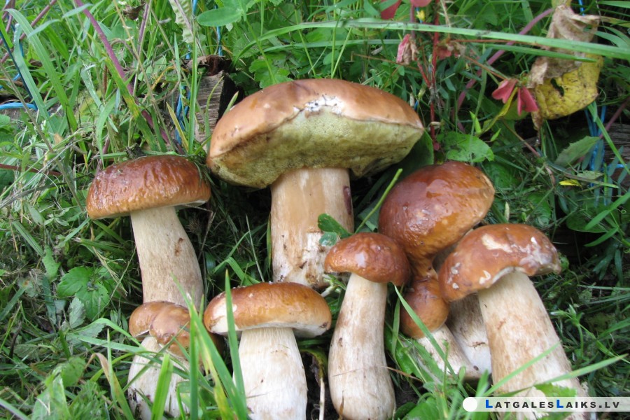 photo.jpg
