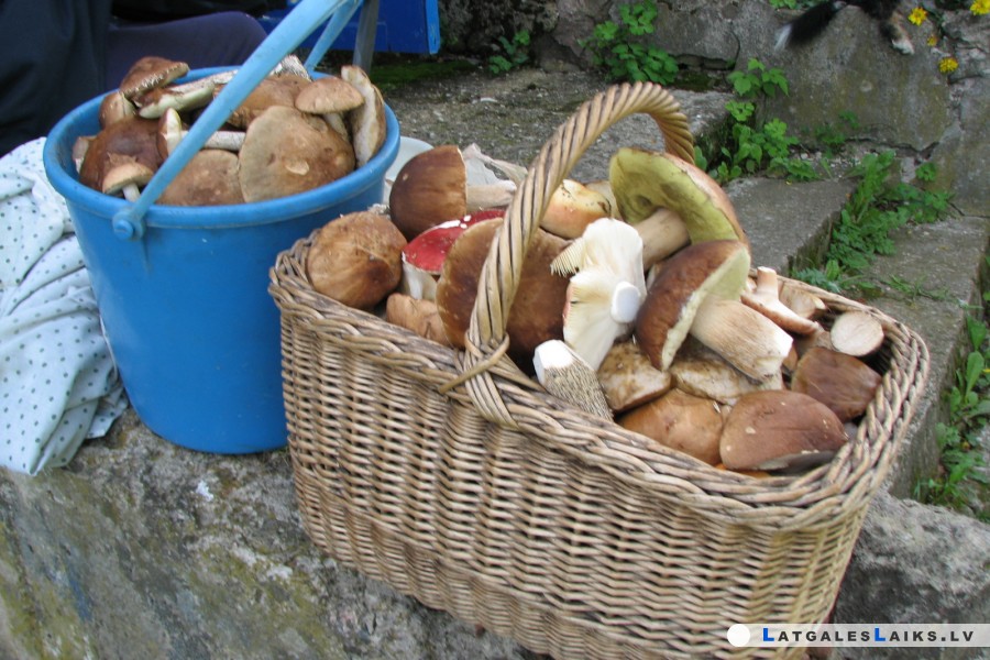 photo.jpg