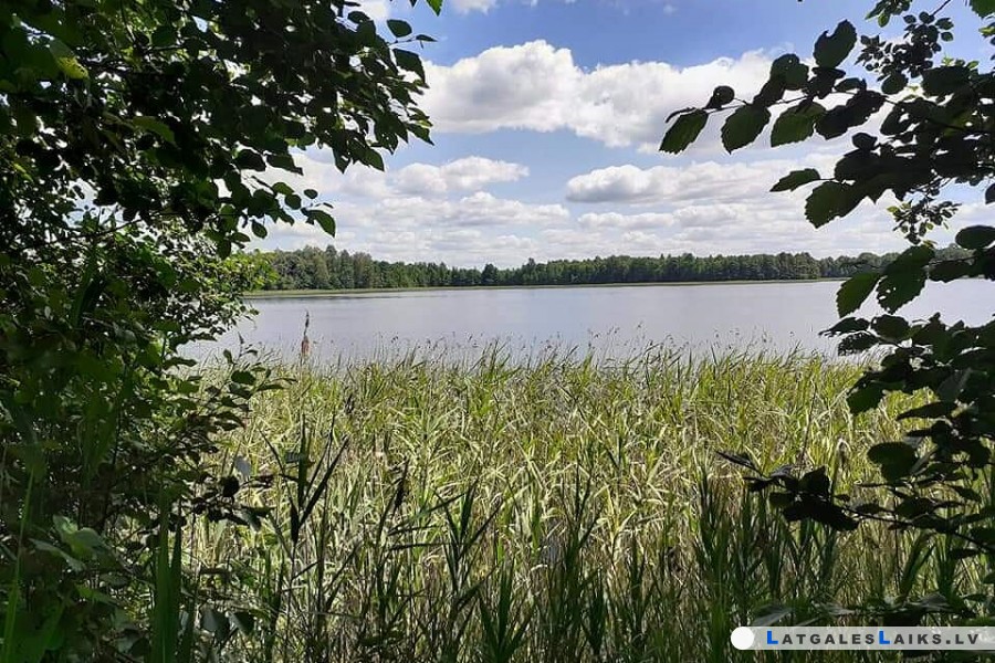 photo.jpg