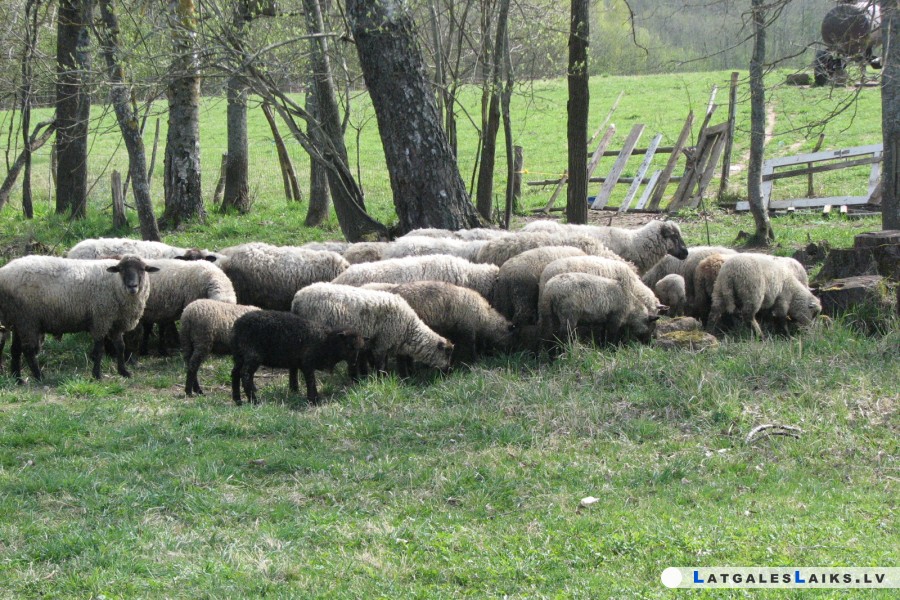 photo.jpg
