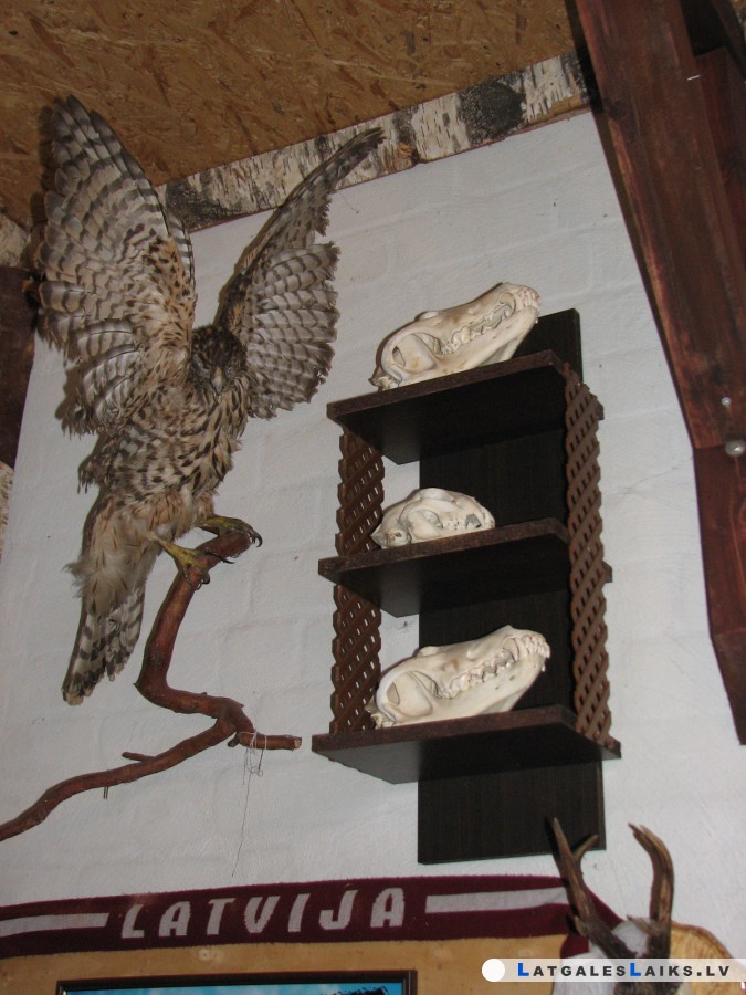 photo.jpg