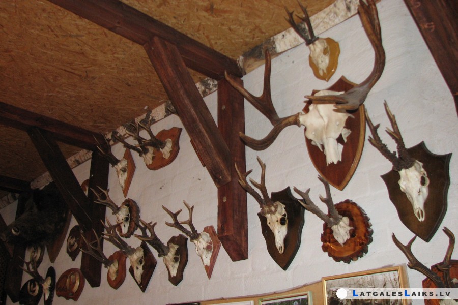 photo.jpg