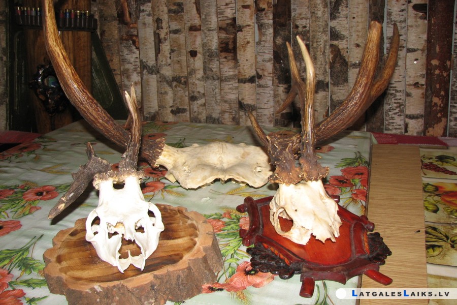 photo.jpg
